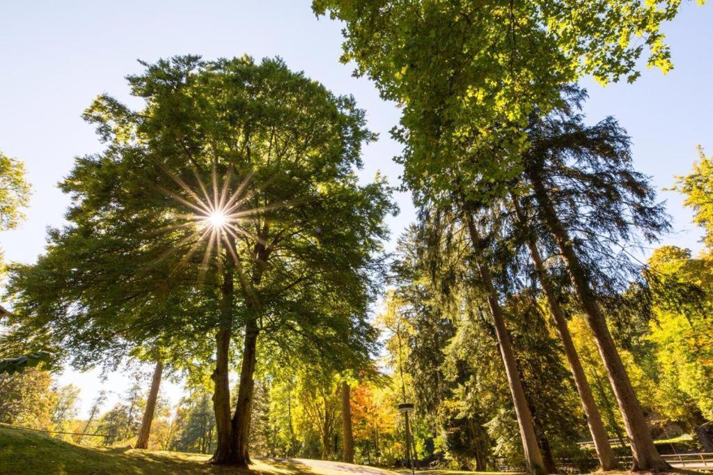 Schwarzwald Maedl Lejlighed Bad Wildbad Eksteriør billede
